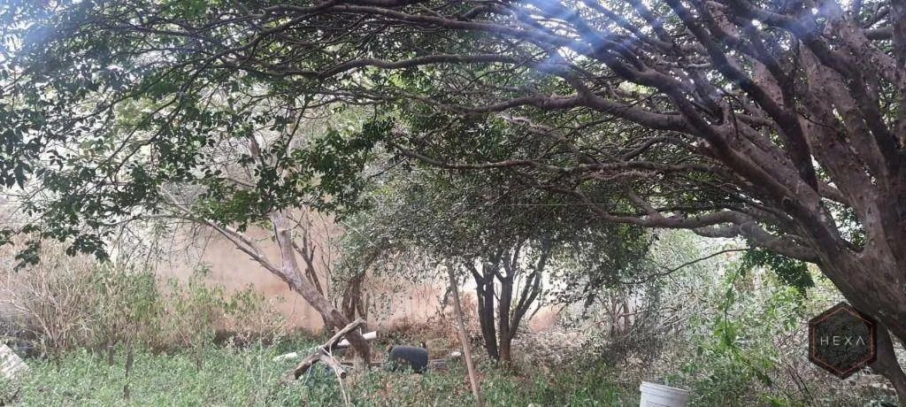 Terreno à venda no Setor Sudoeste em Goiânia