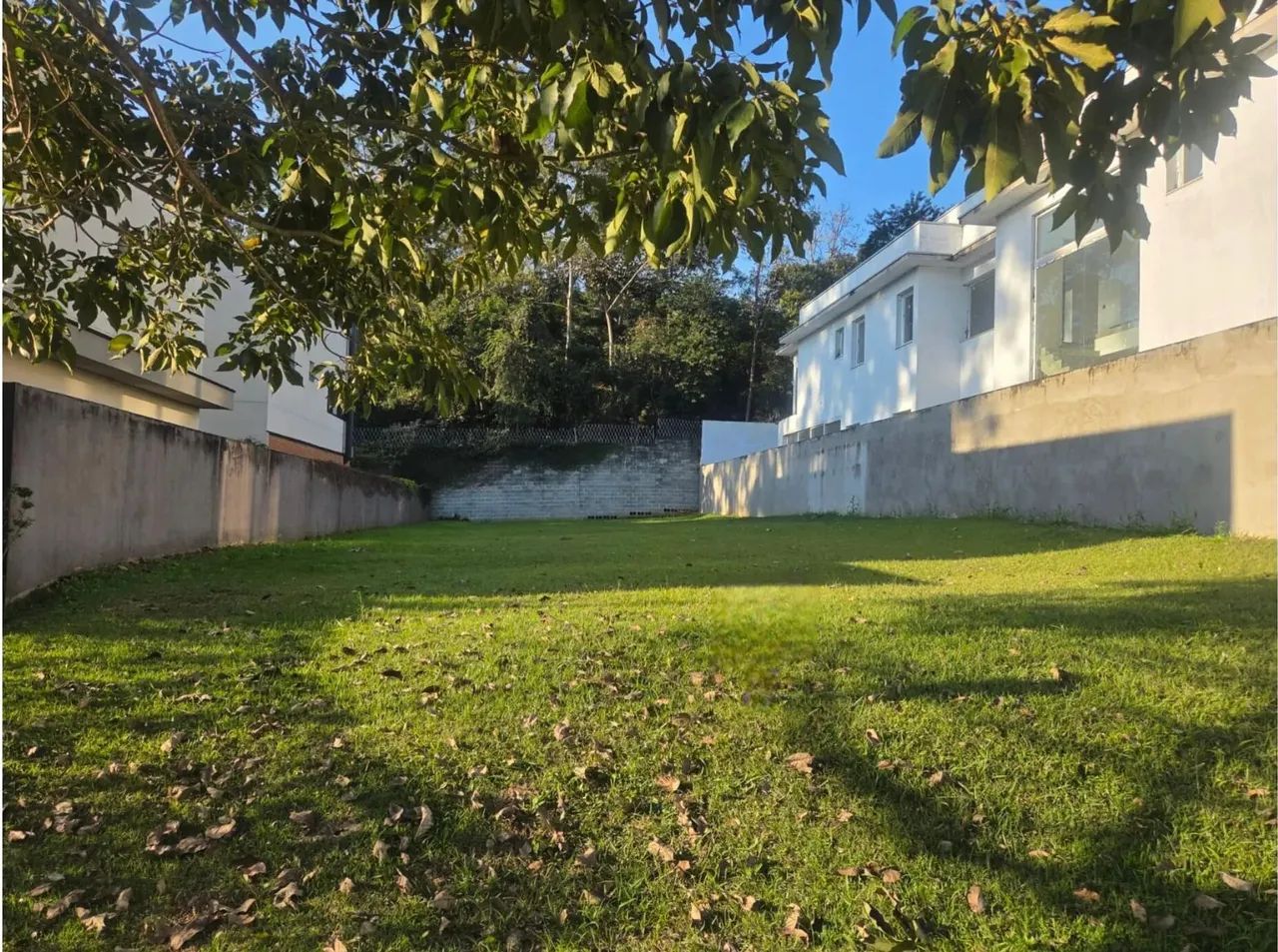 Plano com fundos para reserva florestal TAMBORÉ 11