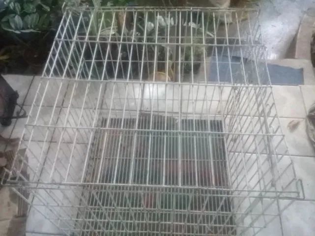 Canil Gaiola para Pets - Foto 2