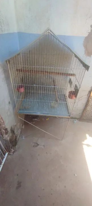 Gaiola para pássaros