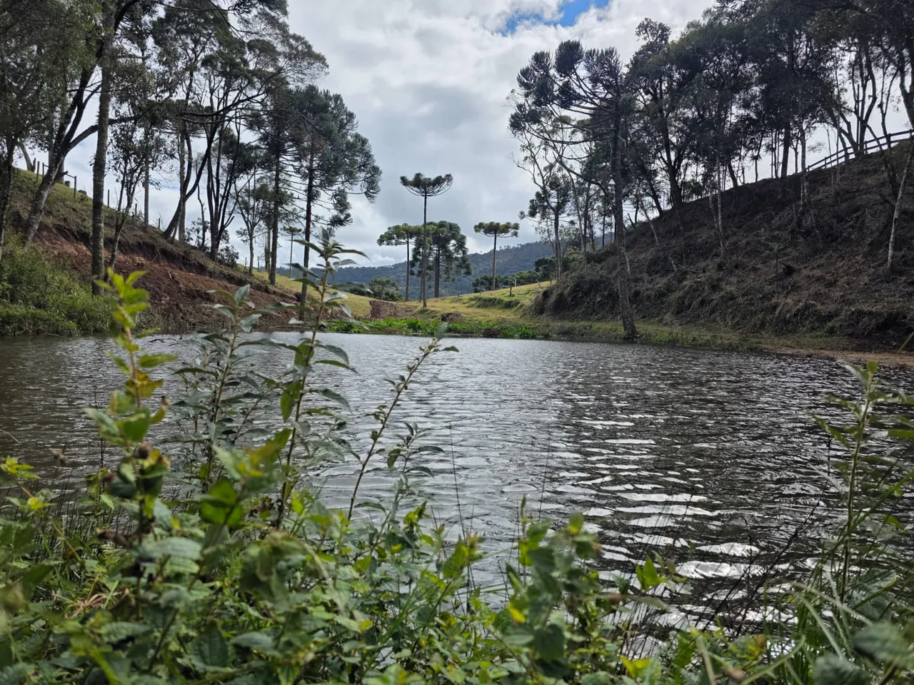 Imóvel para venda com 7 hectares em Santa Tereza - Urubici - SC