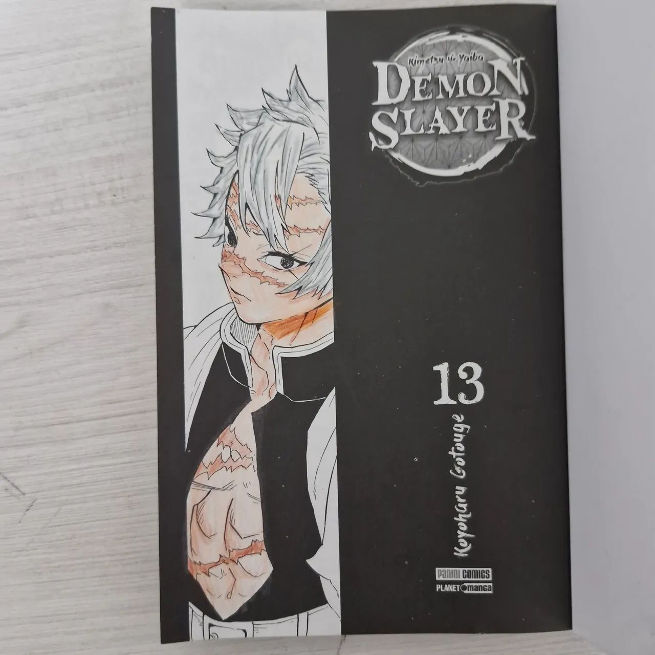 Mangá Demon Slayer 13 - Foto 2