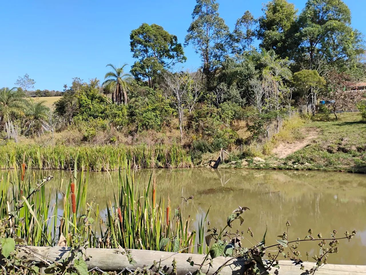Terreno 5.000 m com lagoa. - Foto 3