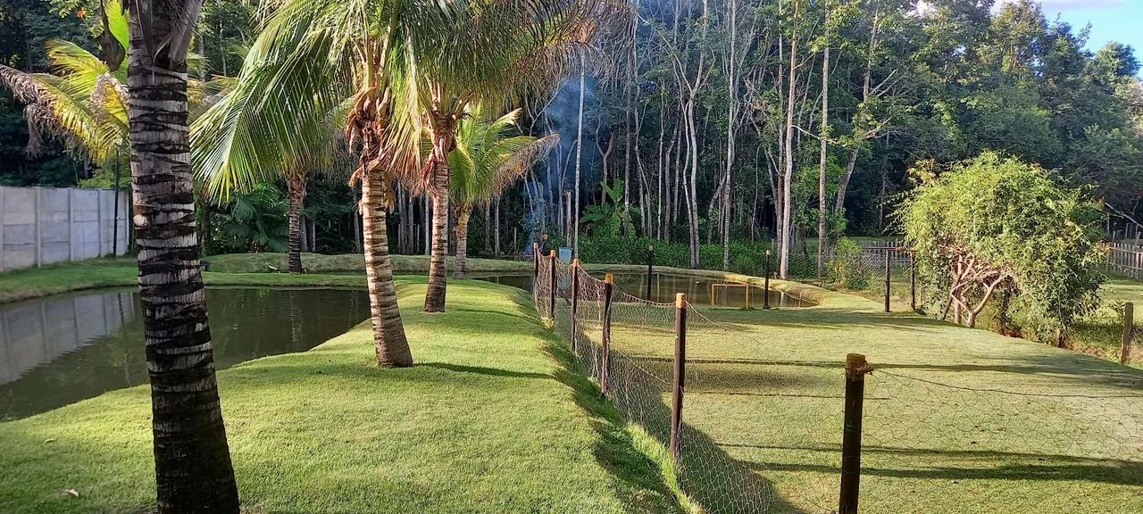 Foto - Goiânia - Setor Cândida de Morais