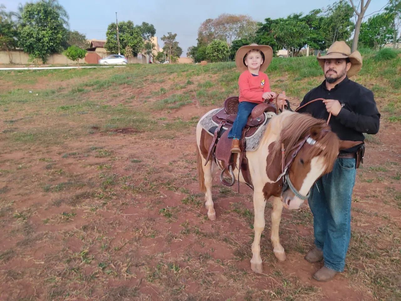 Domador/Treinador/Cavalos - Foto 4