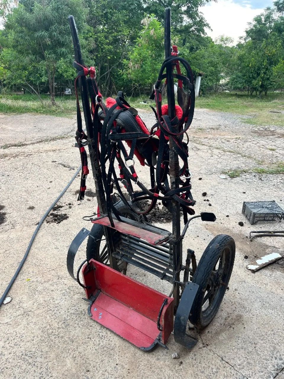 Charrete pônei  - Foto 2