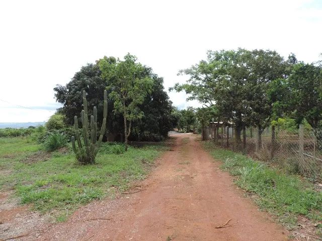 Vendo Chácara 64 --  Cascalheira 2 Hectares - Foto 7