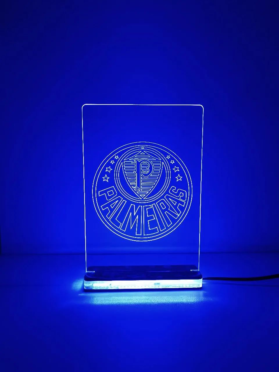 Luminária Palmeiras - LED