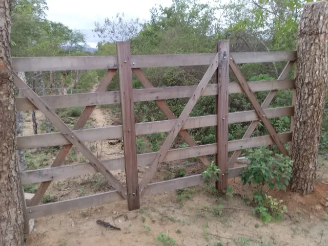 Roça ( 12 tarefas )