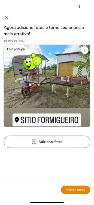 Vendo carroagem charrete em ótimo estado 