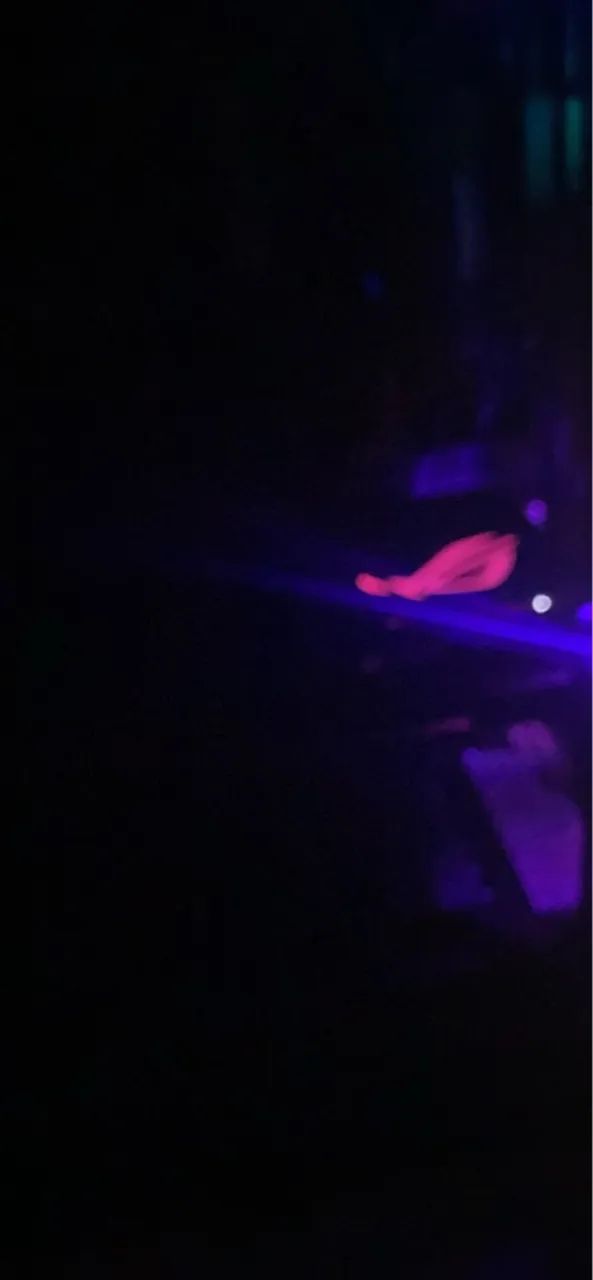 Rx 480 oc 8gb - Foto 3