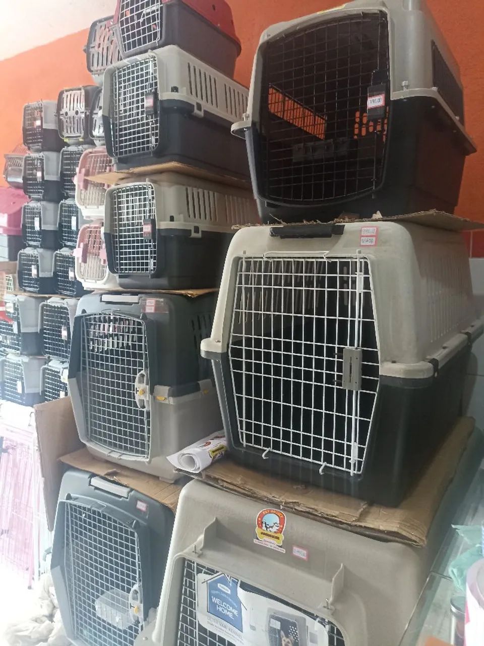 Caixas de transporte padrão IATA.