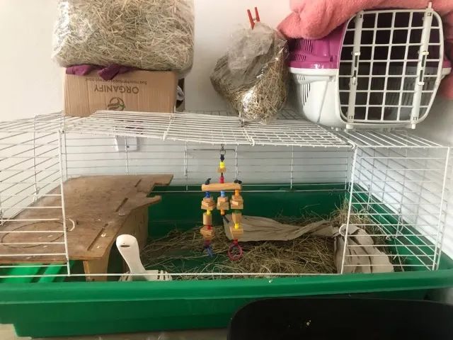 Gaiola para roedores - Foto 2