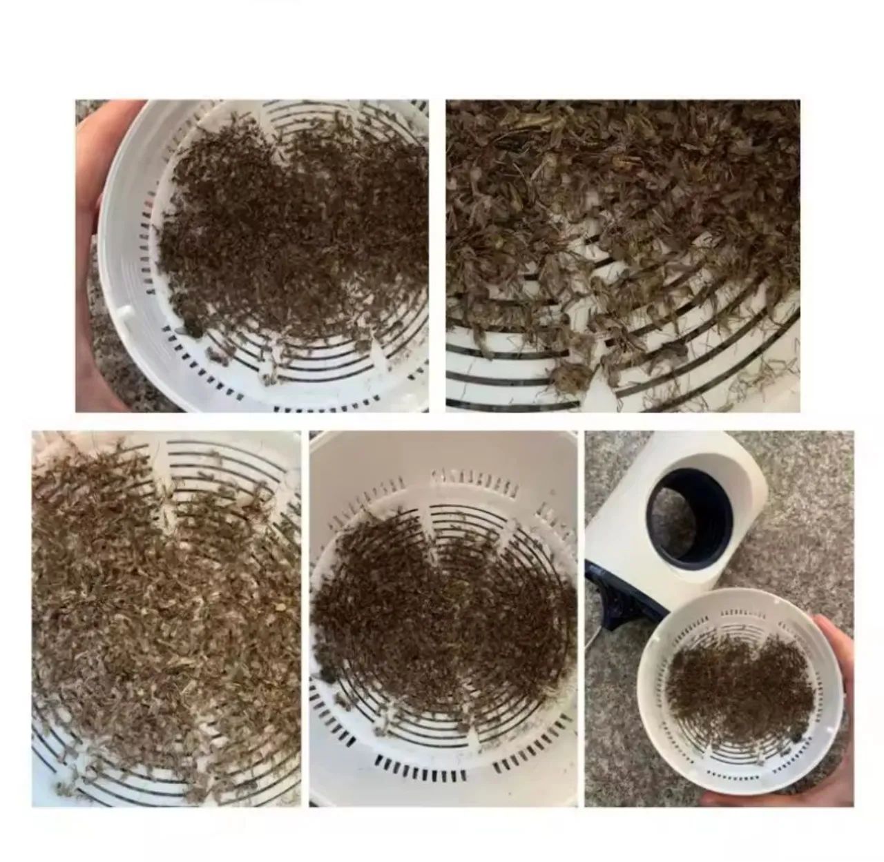 LAMPADA MATA MOSQUITO UVA - - Foto 2