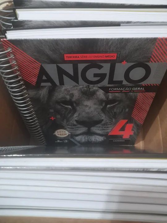 Apostila 3° Ensino Medio 4 Bimestre - Escola de Negócios de Direitos - Foto 5