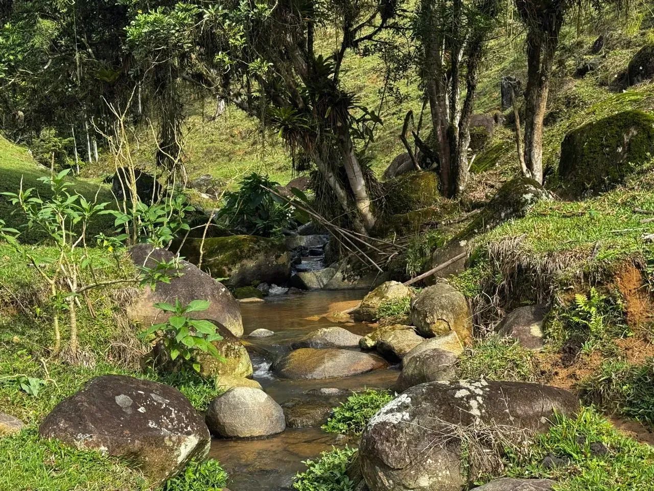 Sitio com Escritura Publica em Águas Mornas - SC