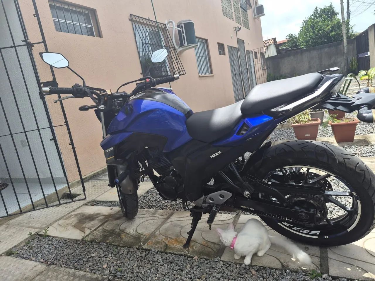 FAZER 250 2019 CONSERVADA  - Foto 3