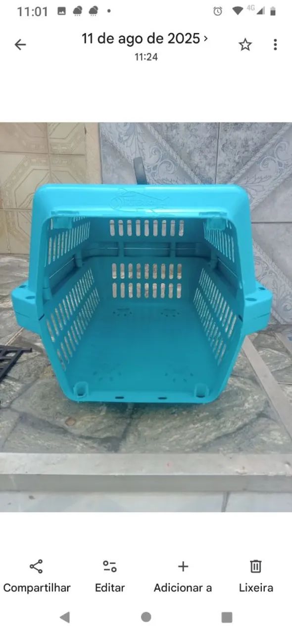 Animais  - Foto 2
