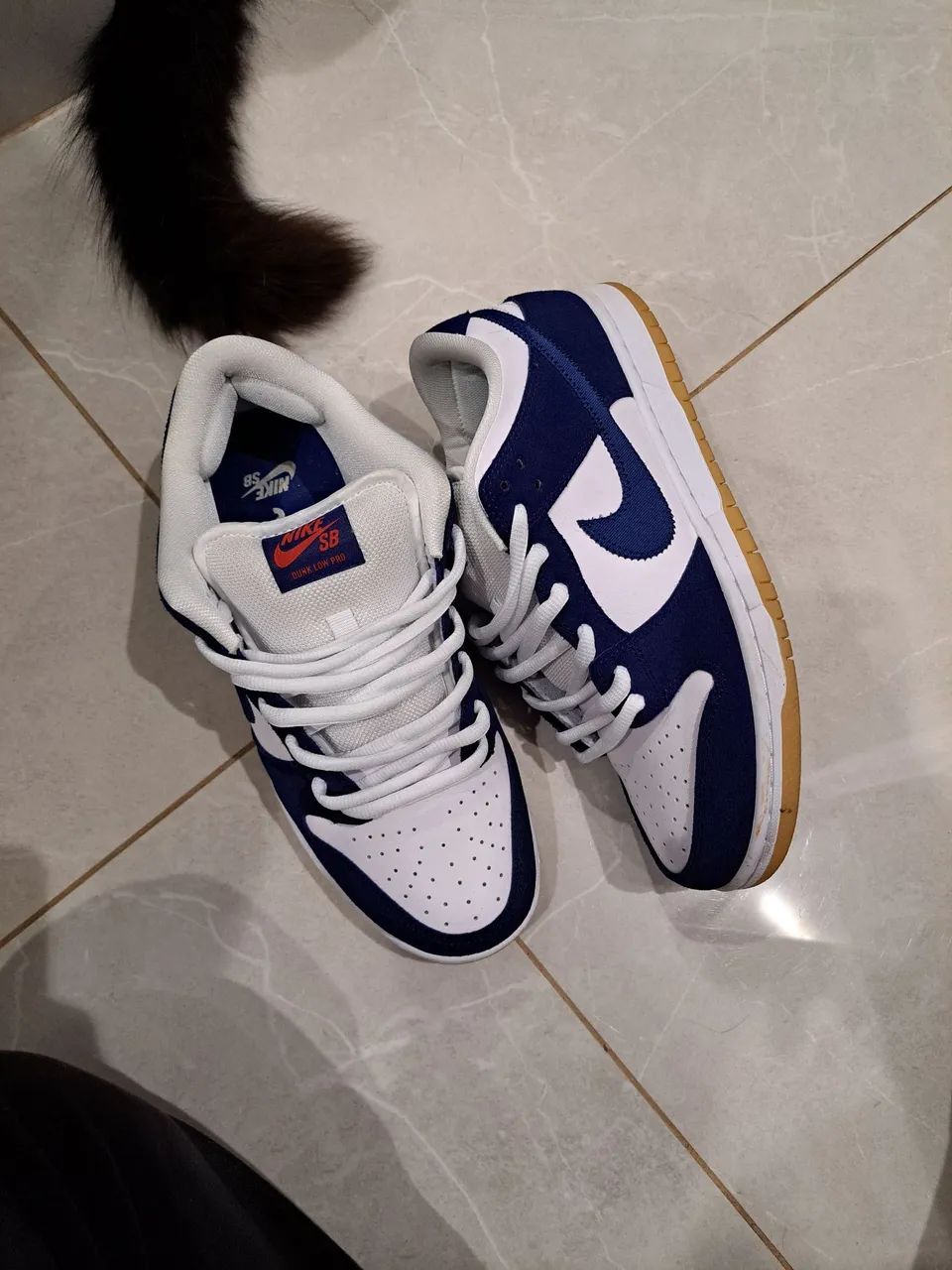 dunk los angeles dodgers 