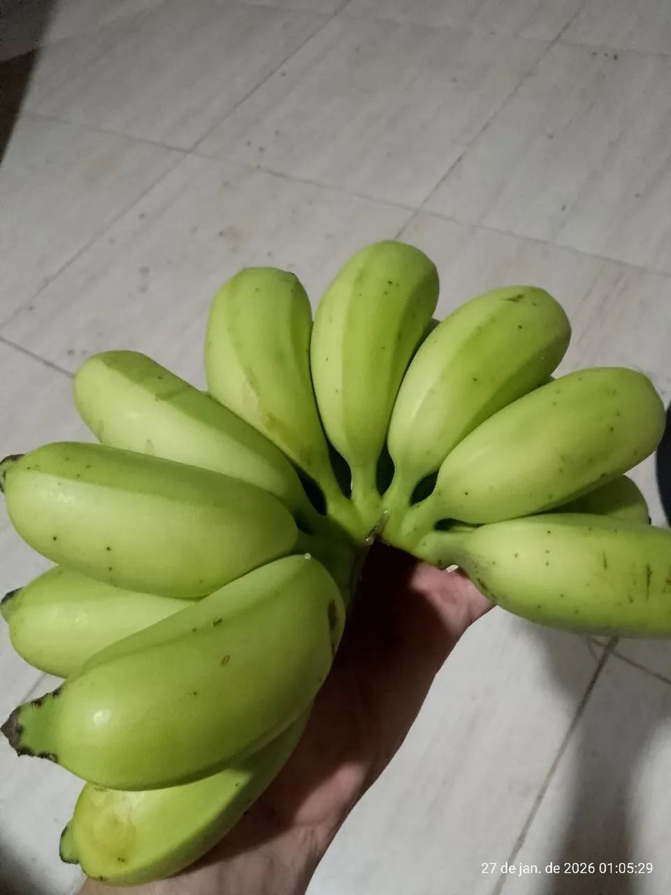 Banana maçã  - Foto 2