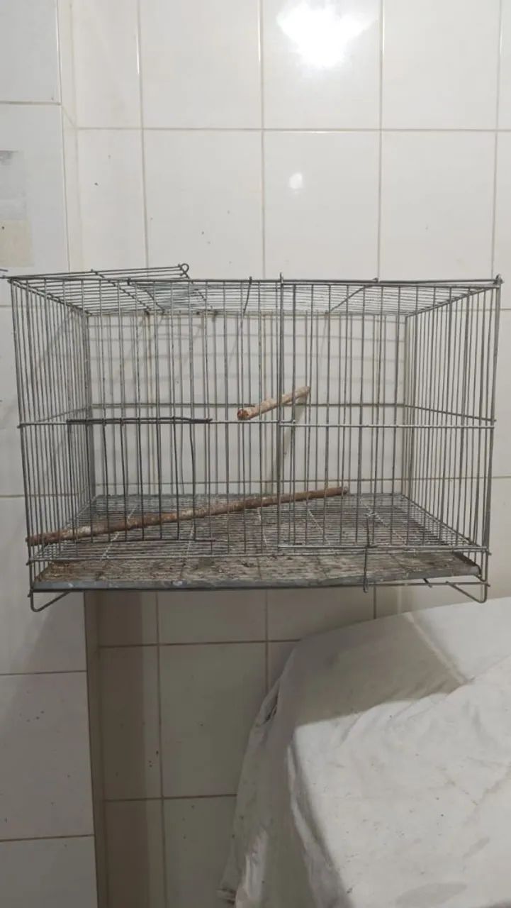 Gaiola de passarinho 