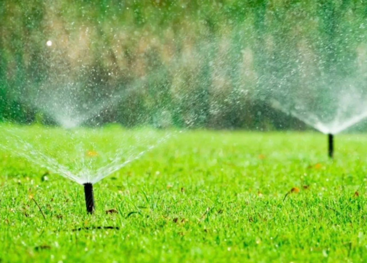 Irrigação automátizada  - Foto 3