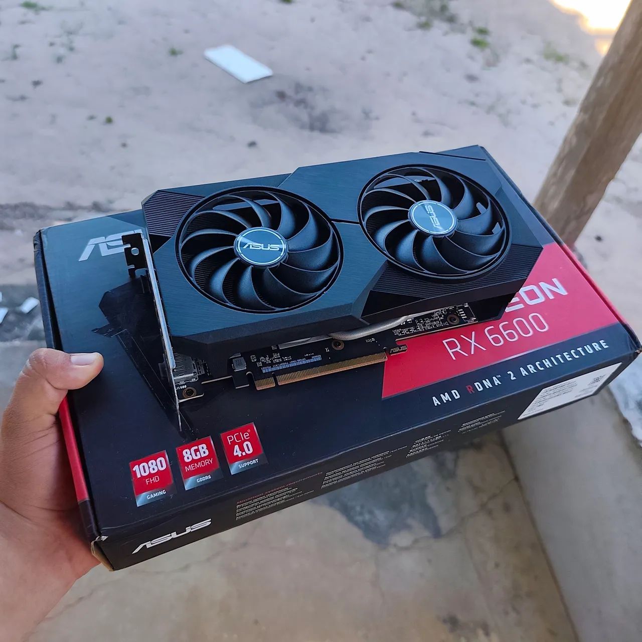 RX6600 nova 