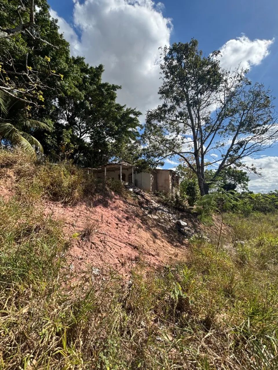 Terreno Xuri, com casa - 2.500m2 - Foto 5