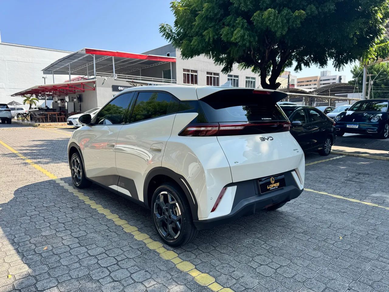 BYD Dolphin Mini (Elétrico) 2026 - Foto 5