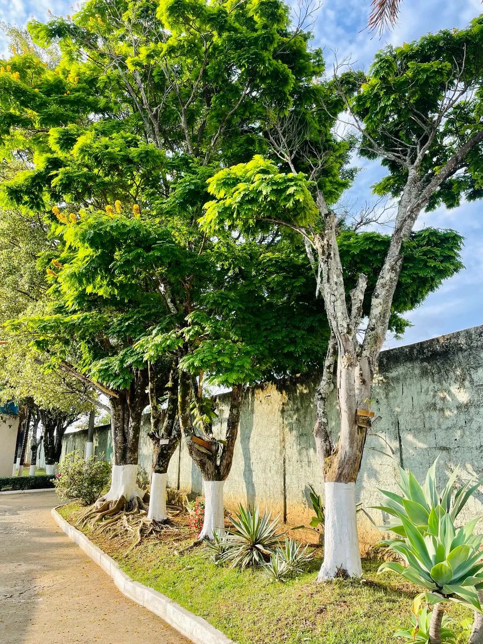 Sítio para alugar em Sete Lagoas | Recanto da Serra  - Foto 5