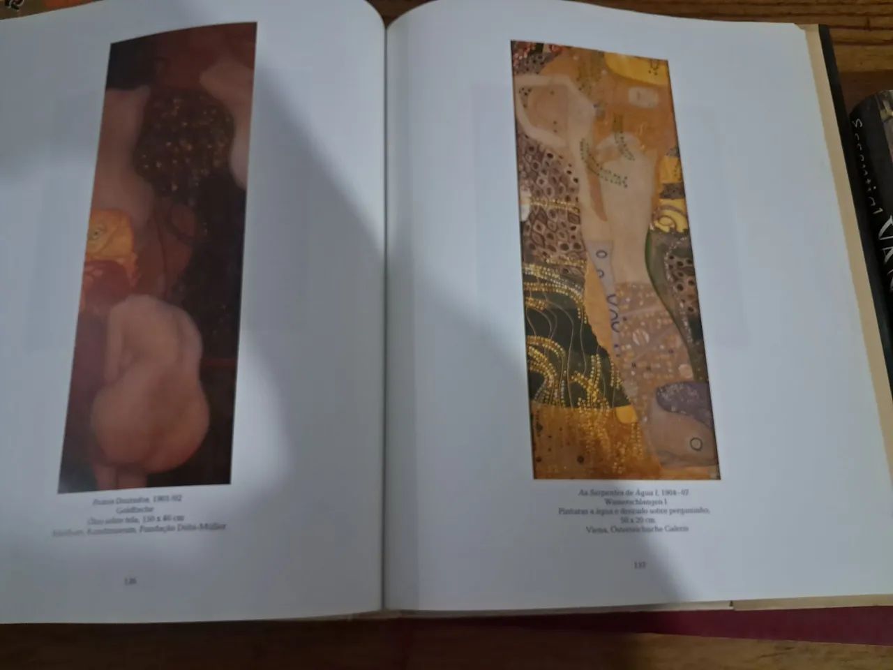 Livro (kLIMT) Obras  - Foto 4