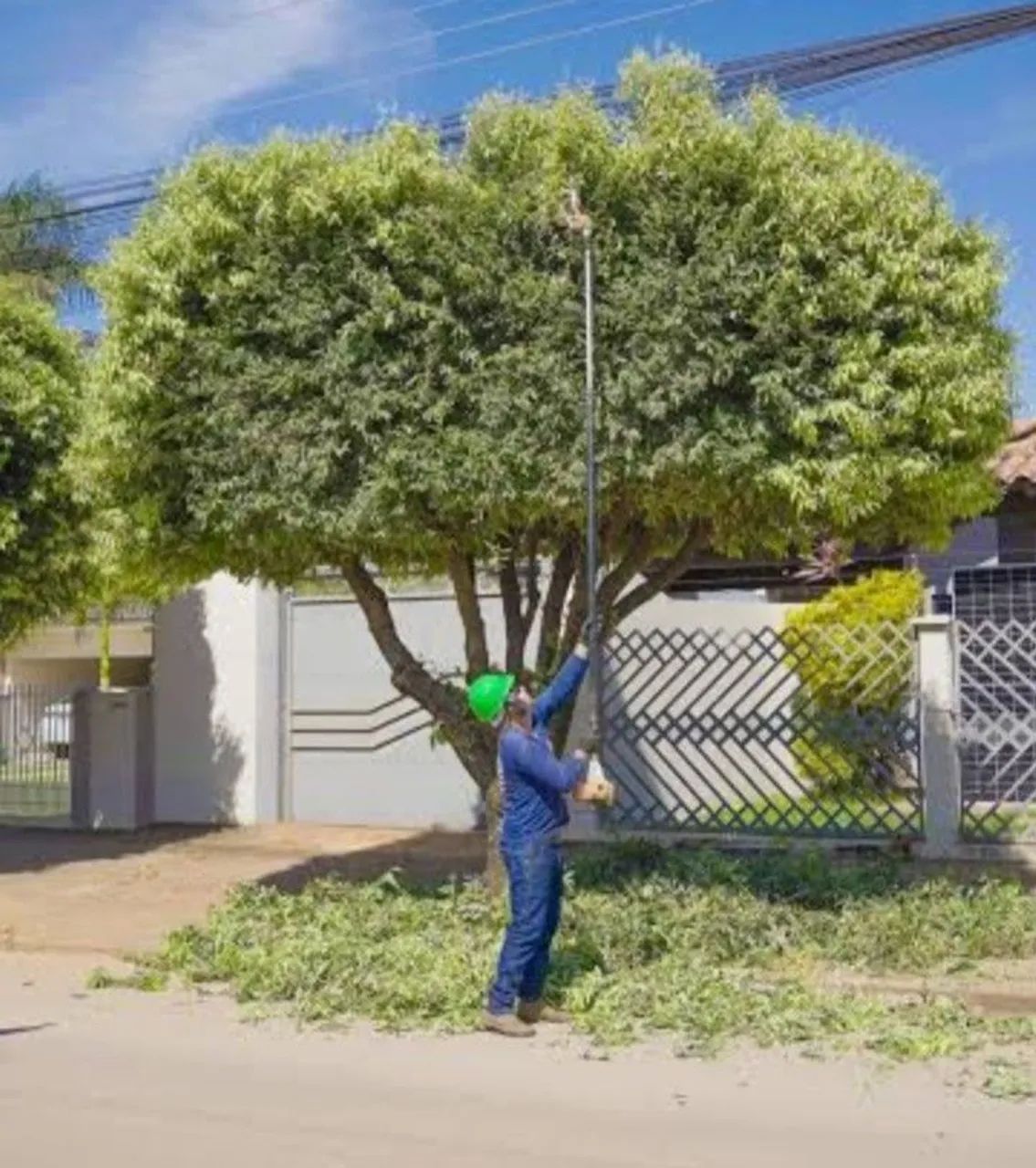 Faço poda de árvore desenhado roçagem de terreno - Foto 2