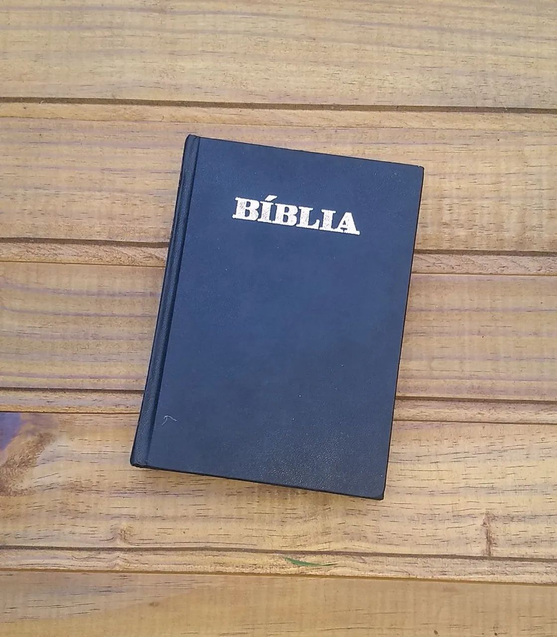 Bíblia Sagrada (antiga)