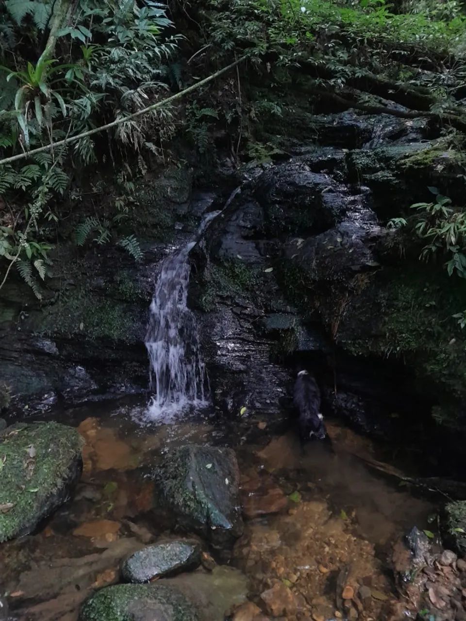 Terreno a venda  - Foto 2