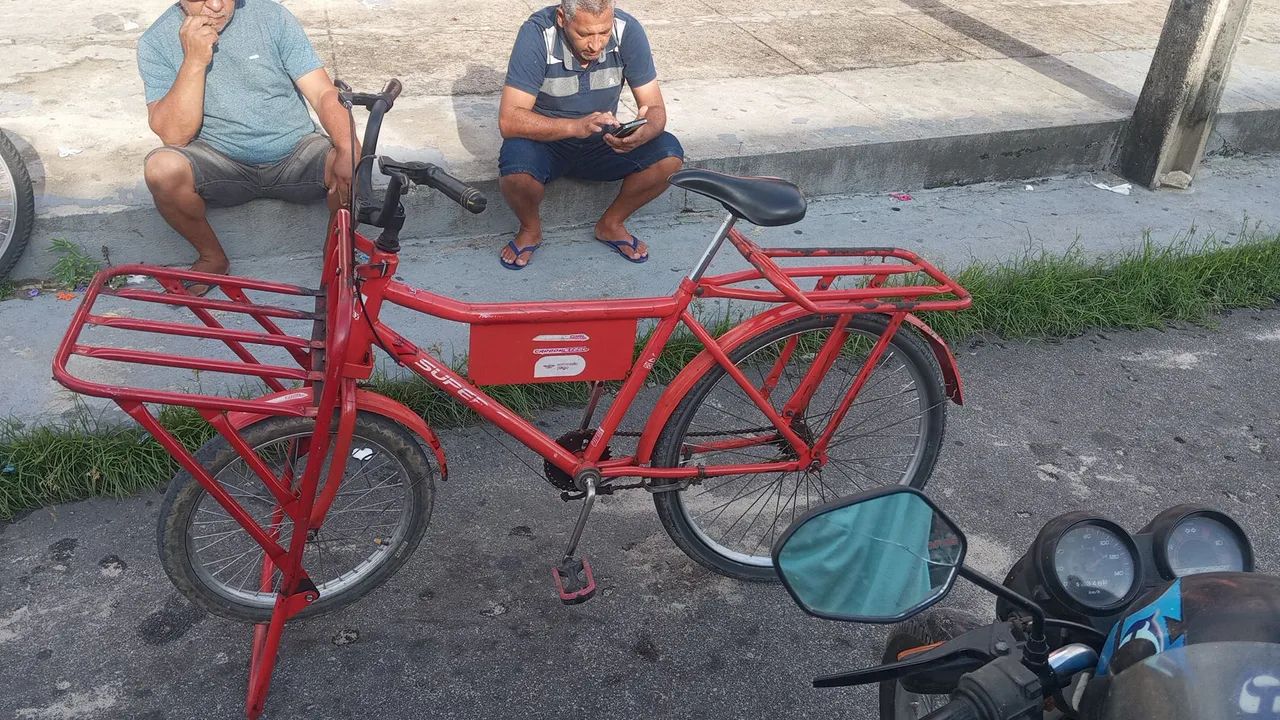 Bicicleta cargueira 