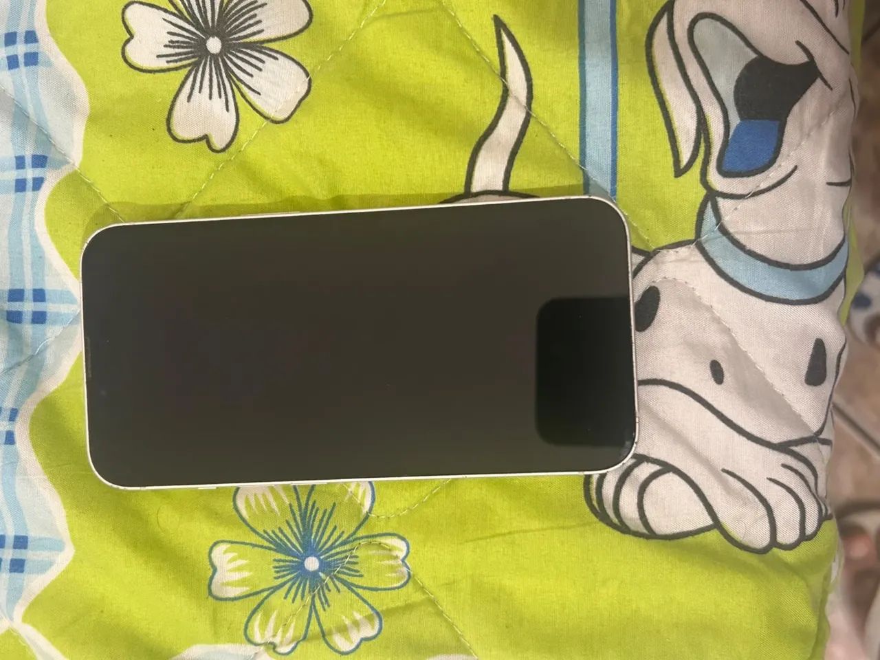 iPhone 14 256 GB