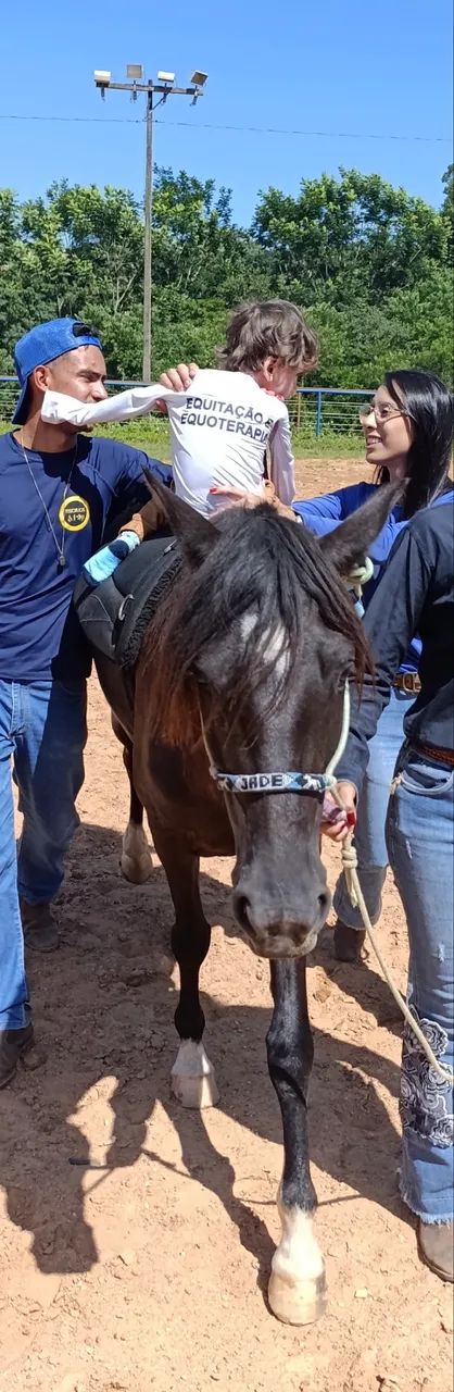 Égua preta mansa boa para criança e escolinha - Foto 4