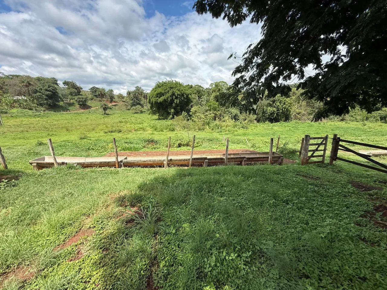 Terreno com casa em florestal 