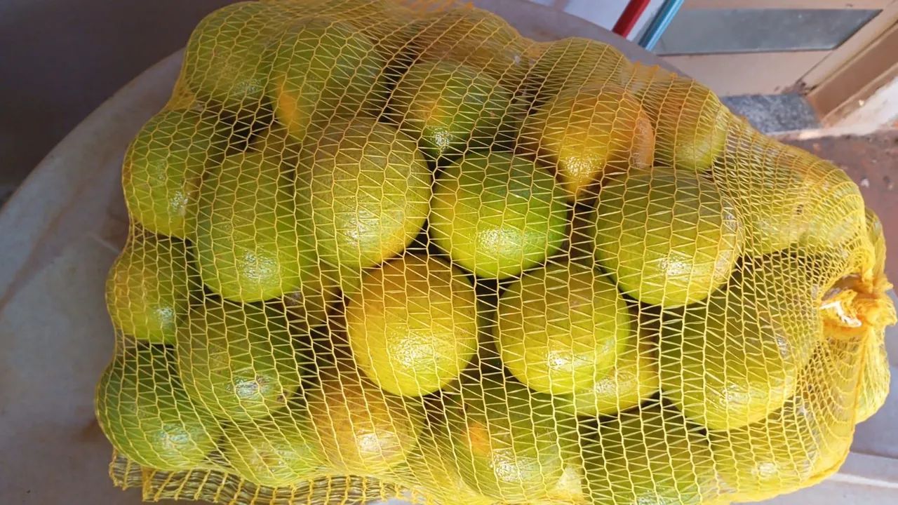 Saco de laranja 