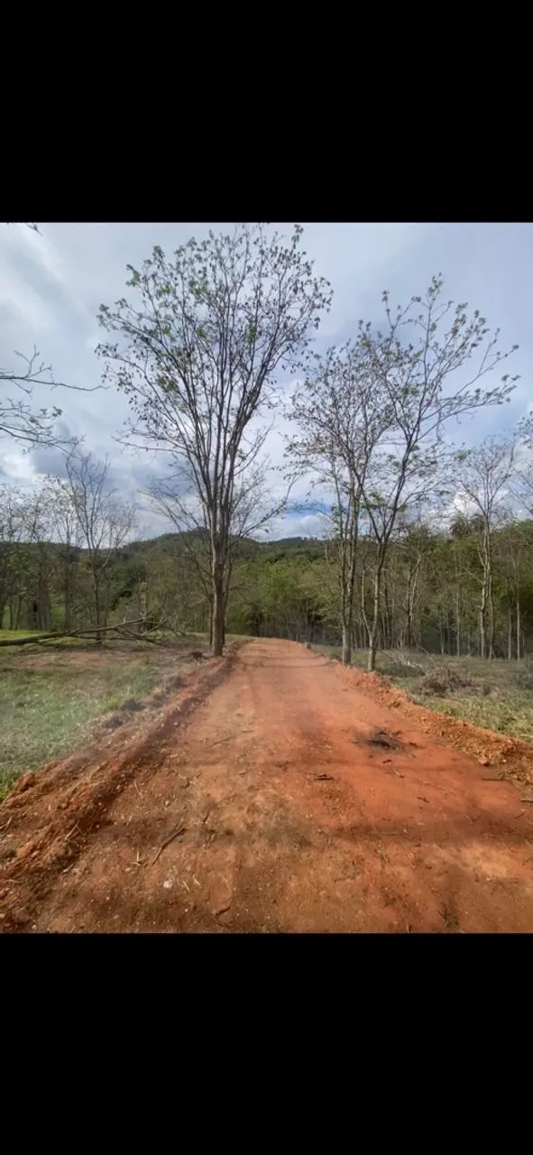 Chácaras a venda  - Foto 3