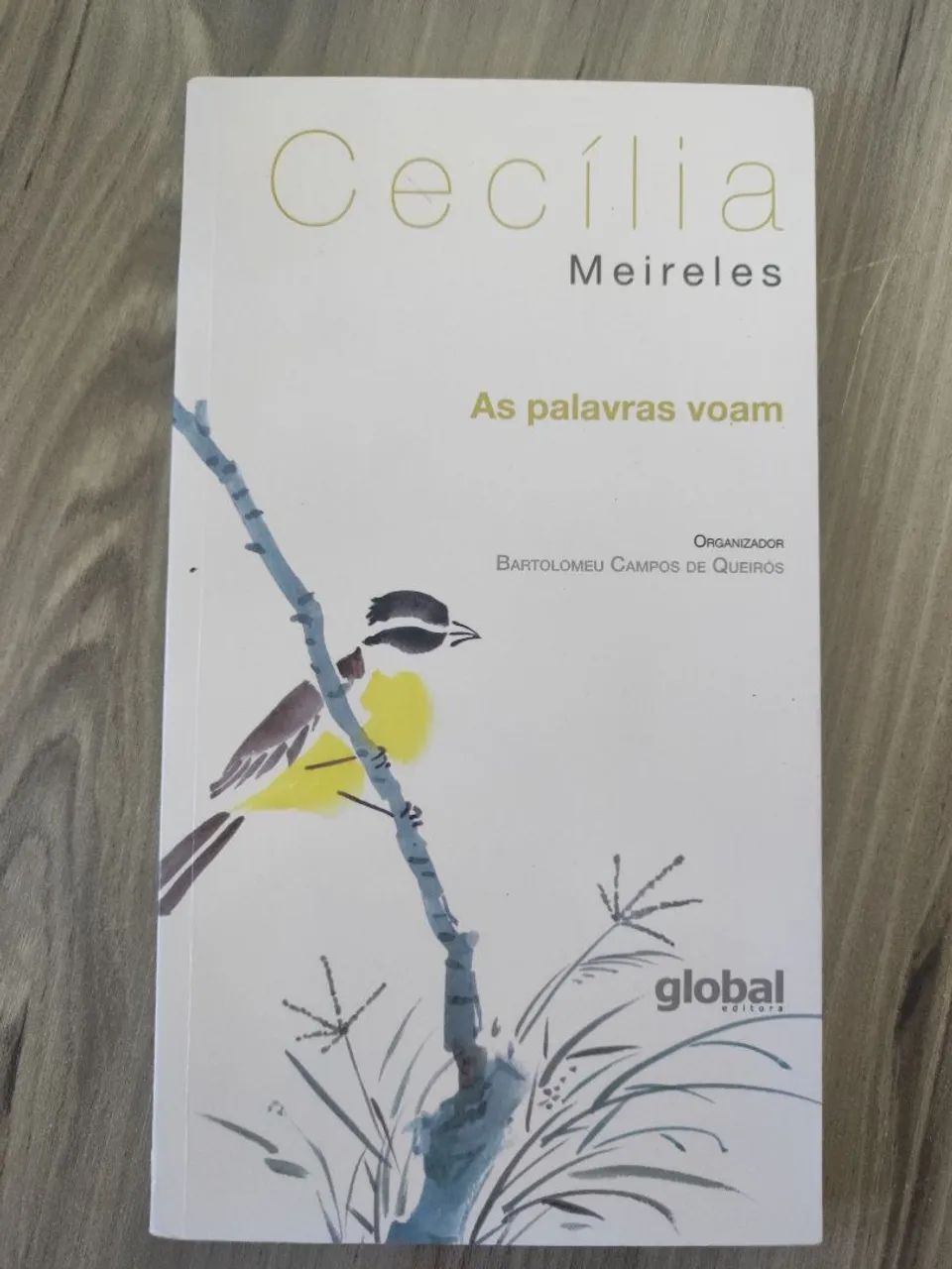 Livro As Palavras voam 