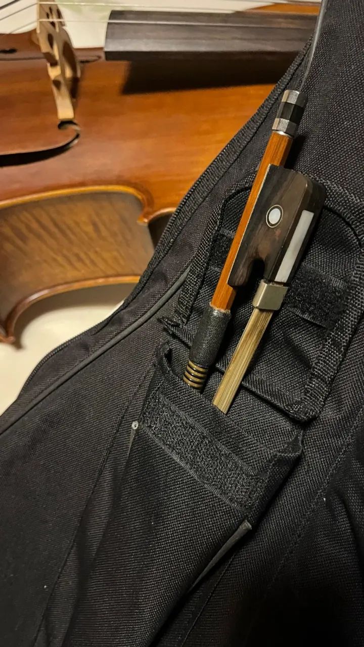 Violoncelo Eagle CE300 4/4 - Foto 3
