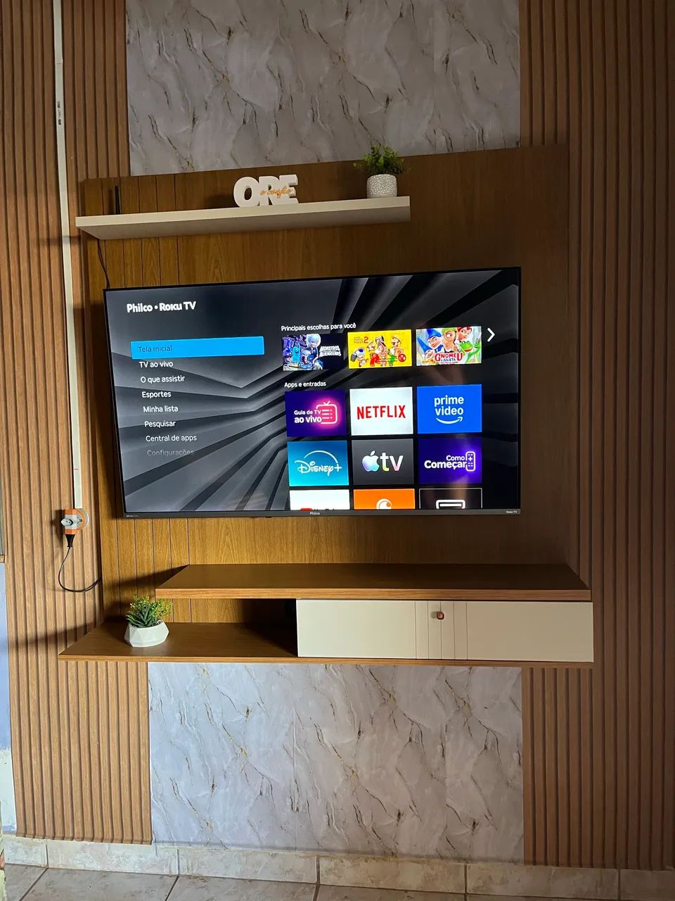 Tv com painel 