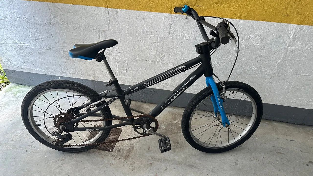 Bicicleta Infantil Aro 20