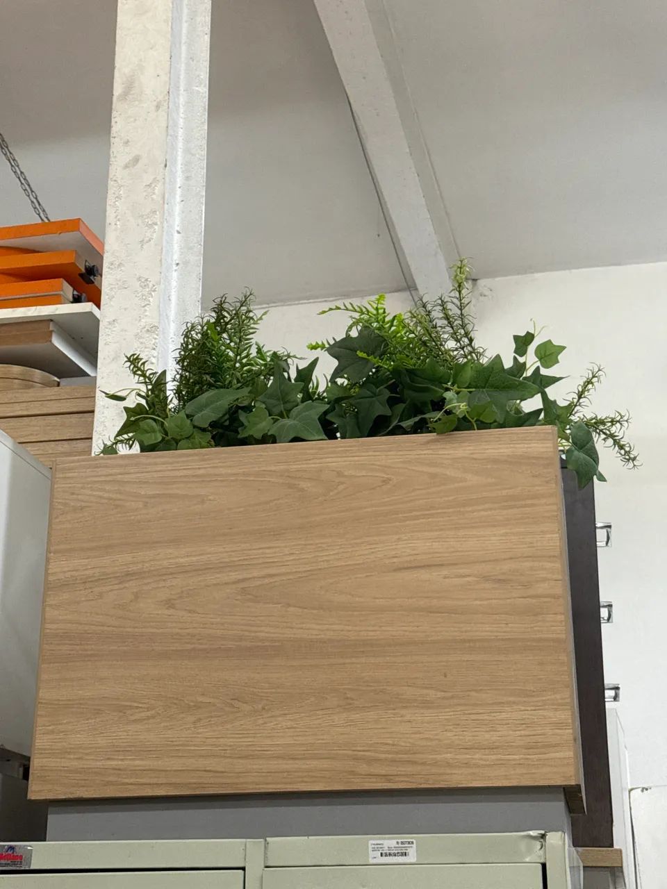 Vasos com plantas  - Foto 2