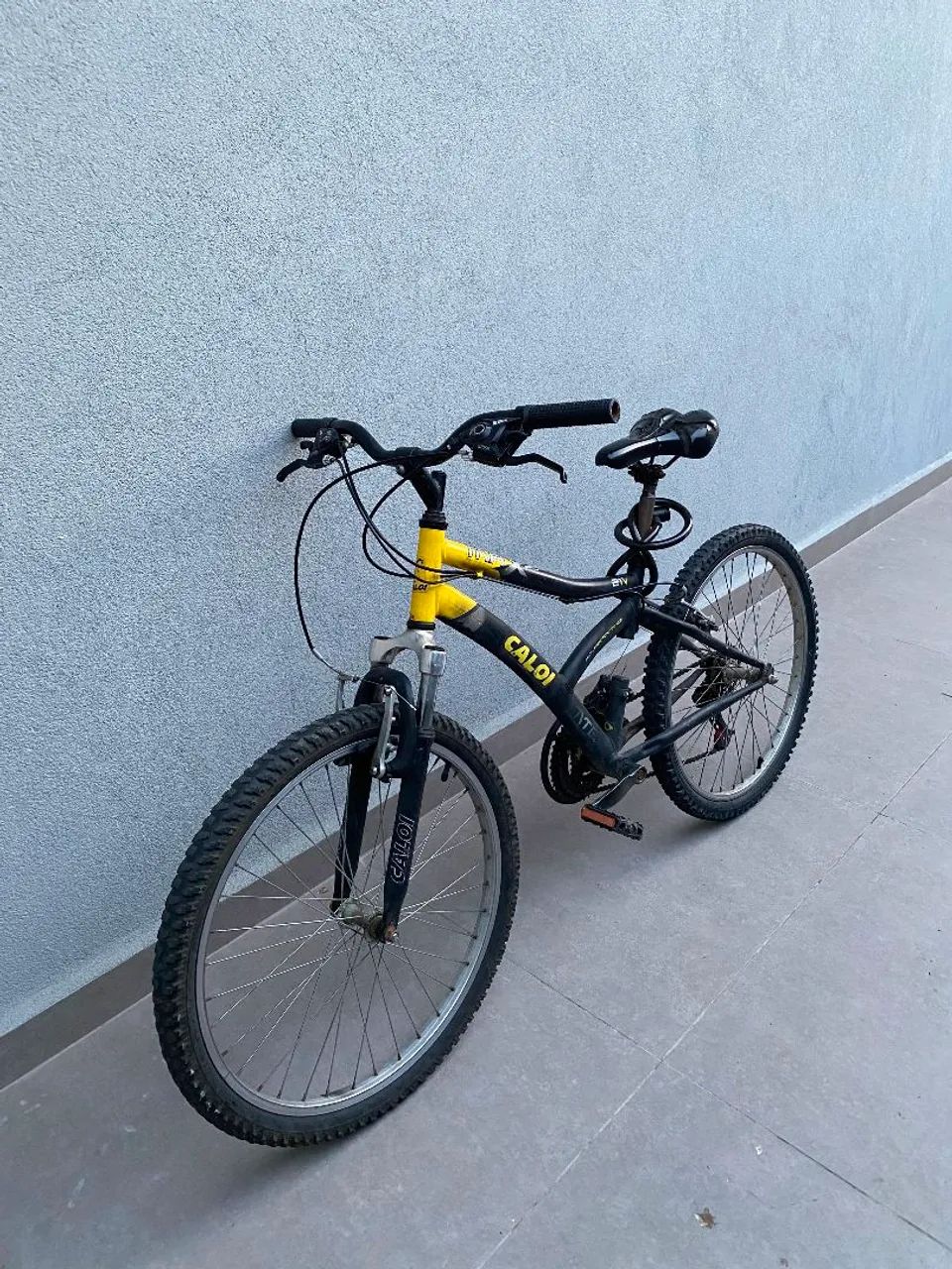 Bicicleta 