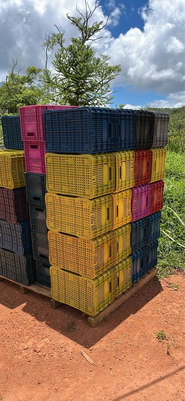 CAIXAS PLÁSTICAS  - Foto 2