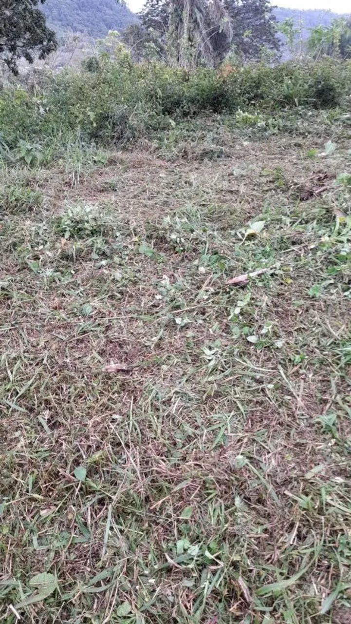 Antonina  - Foto 5