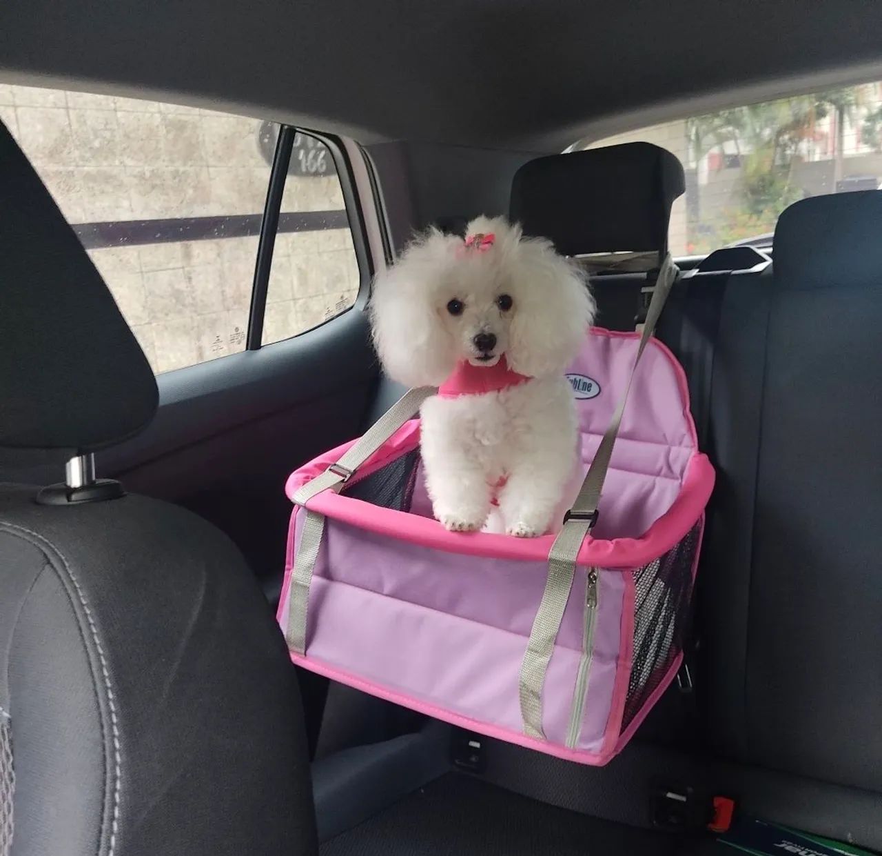 Cadeira de carro para PET. 