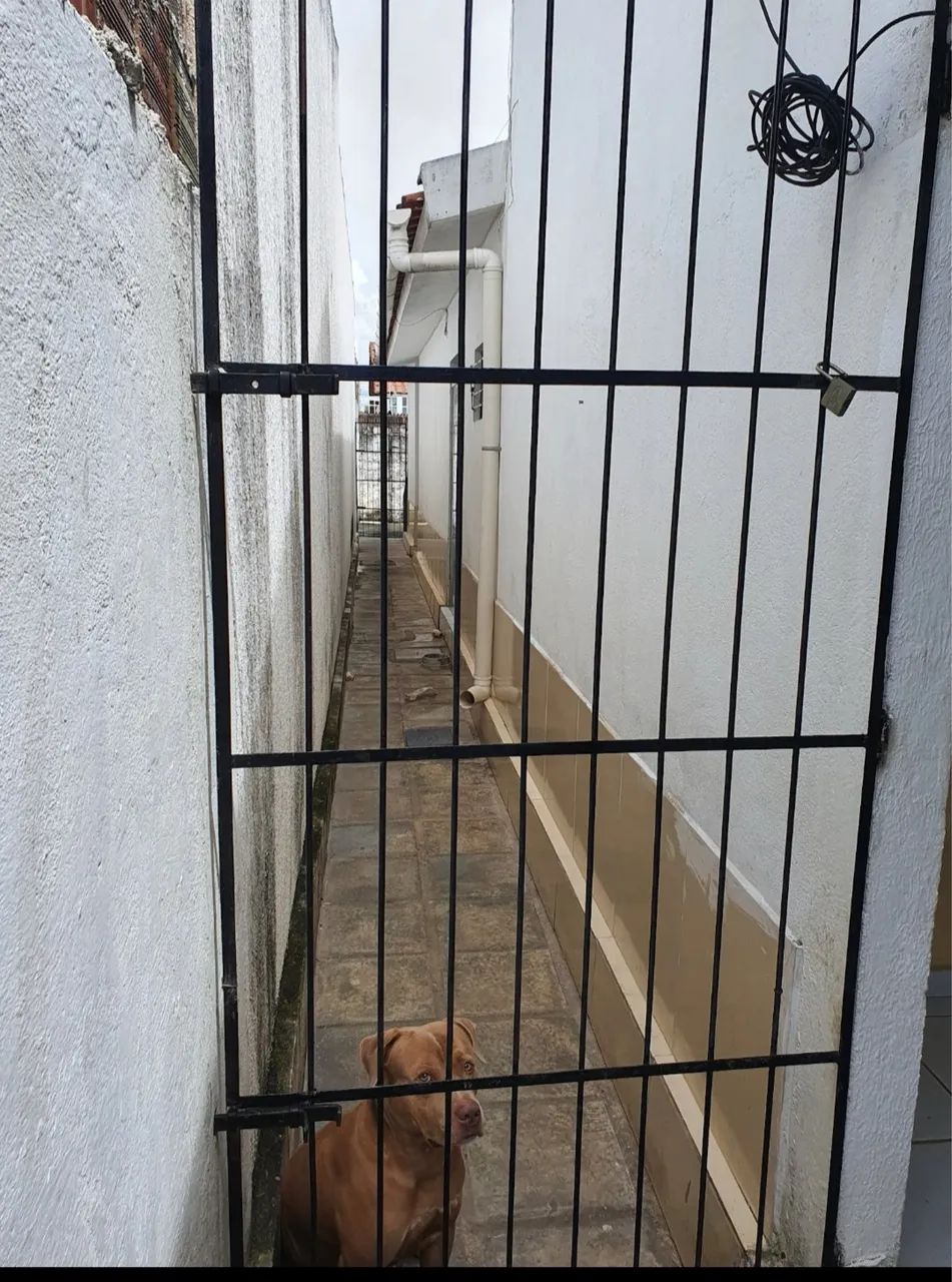 Repasso Casa 